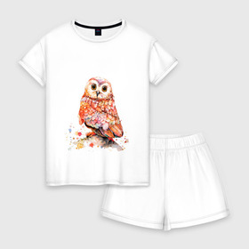 Женская пижама с шортиками хлопок с принтом Совушка в Белгороде, 100% хлопок | футболка прямого кроя, шорты свободные с широкой мягкой резинкой | арт | весна | животные | картинка | краски | рисунок | сова | яркий