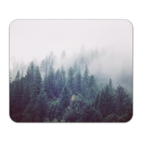 Коврик для мышки прямоугольный с принтом Сибирский лес в Белгороде, натуральный каучук | размер 230 х 185 мм; запечатка лицевой стороны | siberia | trees | wood | деревья | ели | ёлки | ель | зеленый лес | лес | лес в тумане | леса | природа | сибирский лес | сибирь | таежные леса | таёжный лес | тайга | туман