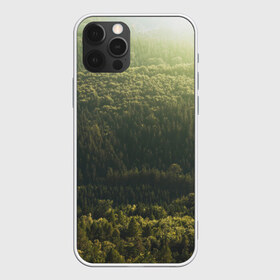 Чехол для iPhone 12 Pro Max с принтом Летний лес в Белгороде, Силикон |  | Тематика изображения на принте: дерево | деревья | зеленый | лес | лето | небо | облако | солнце | темный | ярко
