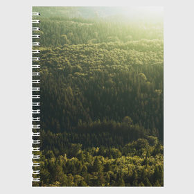 Тетрадь с принтом Летний лес в Белгороде, 100% бумага | 48 листов, плотность листов — 60 г/м2, плотность картонной обложки — 250 г/м2. Листы скреплены сбоку удобной пружинной спиралью. Уголки страниц и обложки скругленные. Цвет линий — светло-серый
 | Тематика изображения на принте: дерево | деревья | зеленый | лес | лето | небо | облако | солнце | темный | ярко