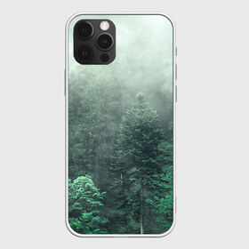Чехол для iPhone 12 Pro Max с принтом Туманный лес в Белгороде, Силикон |  | Тематика изображения на принте: дерево | деревья | зеленый | лес | облака | облако | снег | темный