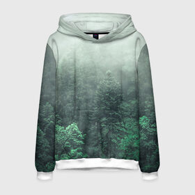 Мужская толстовка 3D с принтом Туманный лес в Белгороде, 100% полиэстер | двухслойный капюшон со шнурком для регулировки, мягкие манжеты на рукавах и по низу толстовки, спереди карман-кенгуру с мягким внутренним слоем. | Тематика изображения на принте: дерево | деревья | зеленый | лес | облака | облако | снег | темный