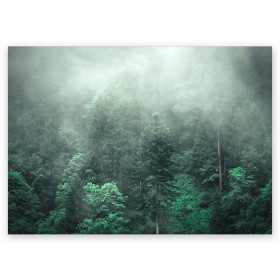 Поздравительная открытка с принтом Туманный лес в Белгороде, 100% бумага | плотность бумаги 280 г/м2, матовая, на обратной стороне линовка и место для марки
 | дерево | деревья | зеленый | лес | облака | облако | снег | темный