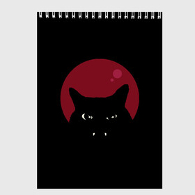 Скетчбук с принтом Vampire Cat в Белгороде, 100% бумага
 | 48 листов, плотность листов — 100 г/м2, плотность картонной обложки — 250 г/м2. Листы скреплены сверху удобной пружинной спиралью | Тематика изображения на принте: art | cat | red moon | vampire | арт | вампир | животные | картинка | кот | котик | кошка | красная луна | рисунок