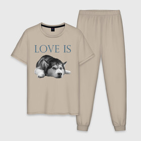 Мужская пижама хлопок с принтом Любовь - это хаски в Белгороде, 100% хлопок | брюки и футболка прямого кроя, без карманов, на брюках мягкая резинка на поясе и по низу штанин
 | Тематика изображения на принте: дрессировка | забота | любовь | сибирский хаски | собака | собаки | собачка | собачник | увлечение | хаски | хобби