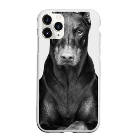 Чехол для iPhone 11 Pro матовый с принтом Любовь - это доберман в Белгороде, Силикон |  | доберман | дрессировка | забота | любовь | собака | собаки | собачка | собачник | увлечение | хобби