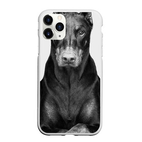 Чехол для iPhone 11 Pro Max матовый с принтом Любовь - это доберман в Белгороде, Силикон |  | доберман | дрессировка | забота | любовь | собака | собаки | собачка | собачник | увлечение | хобби