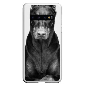 Чехол для Samsung Galaxy S10 с принтом Любовь - это доберман в Белгороде, Силикон | Область печати: задняя сторона чехла, без боковых панелей | доберман | дрессировка | забота | любовь | собака | собаки | собачка | собачник | увлечение | хобби