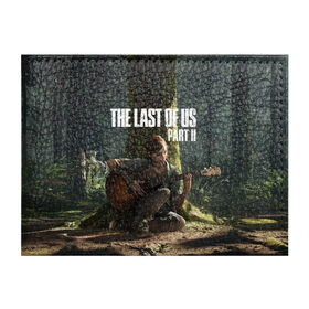 Обложка для студенческого билета с принтом The Last of Us part 2 в Белгороде, натуральная кожа | Размер: 11*8 см; Печать на всей внешней стороне | Тематика изображения на принте: day | ellie | games | joel | naughty dog | день | джоэл | игры | одни из нас | часть 2 | элли