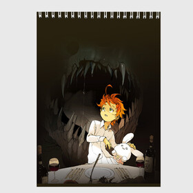 Скетчбук с принтом The Promised Neverland в Белгороде, 100% бумага
 | 48 листов, плотность листов — 100 г/м2, плотность картонной обложки — 250 г/м2. Листы скреплены сверху удобной пружинной спиралью | anime | emma | mango | the promised neverland | yakusoku no neverland | аниме | манга | обещанная страна грёз | обещанный неверленд