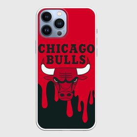 Чехол для iPhone 13 Pro Max с принтом Chicago Bulls. в Белгороде,  |  | 23 | air jordan | bulls | chicago bulls | jordan | michael jordan | nba | paris saint germain | psg | red | sport | быки | джордан | майкл джордан | псж | спорт | чикаго буллс