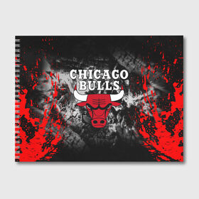 Альбом для рисования с принтом CHICAGO BULLS в Белгороде, 100% бумага
 | матовая бумага, плотность 200 мг. | bulls | chicago | chicago bulls | nba | red bulls | usa | америка | быки | нба | сша | чикаго буллс