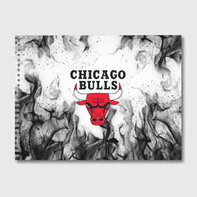 Альбом для рисования с принтом CHICAGO BULLS в Белгороде, 100% бумага
 | матовая бумага, плотность 200 мг. | bulls | chicago | chicago bulls | nba | red bulls | usa | америка | быки | нба | сша | чикаго буллс