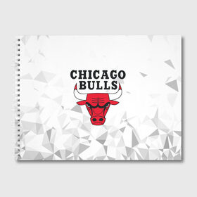 Альбом для рисования с принтом CHICAGO BULLS в Белгороде, 100% бумага
 | матовая бумага, плотность 200 мг. | bulls | chicago | chicago bulls | nba | red bulls | usa | америка | быки | нба | сша | чикаго буллс