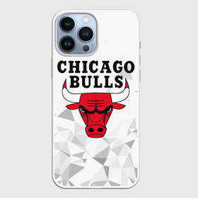 Чехол для iPhone 13 Pro Max с принтом CHICAGO BULLS в Белгороде,  |  | Тематика изображения на принте: bulls | chicago | chicago bulls | nba | red bulls | usa | америка | быки | нба | сша | чикаго буллс