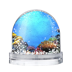 Снежный шар с принтом Подводный мир в Белгороде, Пластик | Изображение внутри шара печатается на глянцевой фотобумаге с двух сторон | Тематика изображения на принте: аква | аквариум | актинии | вода | море | морские | морские звезды | морской | океан | под водой | подводный мир | пузырьки | рыба | рыба клоун | рыбы