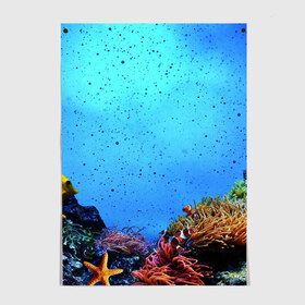 Постер с принтом Подводный мир в Белгороде, 100% бумага
 | бумага, плотность 150 мг. Матовая, но за счет высокого коэффициента гладкости имеет небольшой блеск и дает на свету блики, но в отличии от глянцевой бумаги не покрыта лаком | аква | аквариум | актинии | вода | море | морские | морские звезды | морской | океан | под водой | подводный мир | пузырьки | рыба | рыба клоун | рыбы
