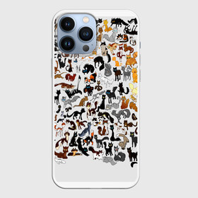 Чехол для iPhone 13 Pro Max с принтом Котики в Белгороде,  |  | Тематика изображения на принте: cat | взгляд | кот | кот хипстер | котёнок | котятки | котятушки | кошечки | кошка | мордочка