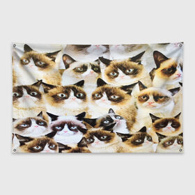 Флаг-баннер с принтом КОТ МЕМ в Белгороде, 100% полиэстер | размер 67 х 109 см, плотность ткани — 95 г/м2; по краям флага есть четыре люверса для крепления | cat | взгляд | кот | кот хипстер | котёнок | котятки | котятушки | кошечки | кошка | мордочка