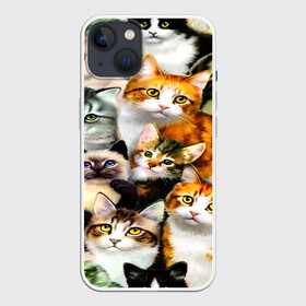 Чехол для iPhone 13 с принтом КОТЫ в Белгороде,  |  | cat | взгляд | кот | кот хипстер | котёнок | котятки | котятушки | кошечки | кошка | мордочка