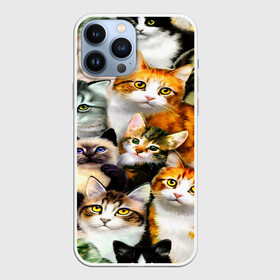 Чехол для iPhone 13 Pro Max с принтом КОТЫ в Белгороде,  |  | Тематика изображения на принте: cat | взгляд | кот | кот хипстер | котёнок | котятки | котятушки | кошечки | кошка | мордочка