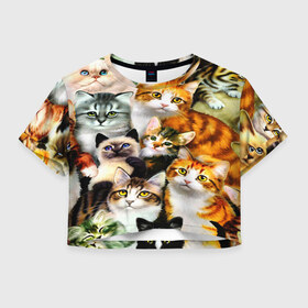 Женская футболка Crop-top 3D с принтом КОТЫ в Белгороде, 100% полиэстер | круглая горловина, длина футболки до линии талии, рукава с отворотами | cat | взгляд | кот | кот хипстер | котёнок | котятки | котятушки | кошечки | кошка | мордочка