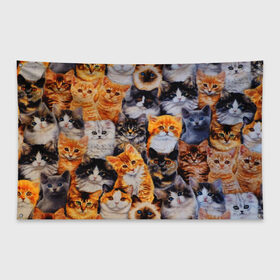 Флаг-баннер с принтом КОТЯТКИ в Белгороде, 100% полиэстер | размер 67 х 109 см, плотность ткани — 95 г/м2; по краям флага есть четыре люверса для крепления | cat | взгляд | кот | кот хипстер | котёнок | котятки | котятушки | кошечки | кошка | мордочка