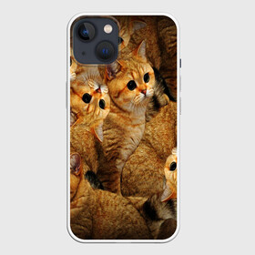 Чехол для iPhone 13 с принтом КОТЯТУШКИ в Белгороде,  |  | cat | взгляд | кот | кот хипстер | котёнок | котятки | котятушки | кошечки | кошка | мордочка