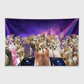 Флаг-баннер с принтом КОТ DJ в Белгороде, 100% полиэстер | размер 67 х 109 см, плотность ткани — 95 г/м2; по краям флага есть четыре люверса для крепления | cat | взгляд | кот | кот хипстер | котёнок | котятки | котятушки | кошечки | кошка | мордочка