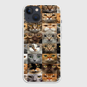 Чехол для iPhone 13 с принтом КОТОПАТТЕРН в Белгороде,  |  | cat | взгляд | кот | кот хипстер | котёнок | котятки | котятушки | кошечки | кошка | мордочка
