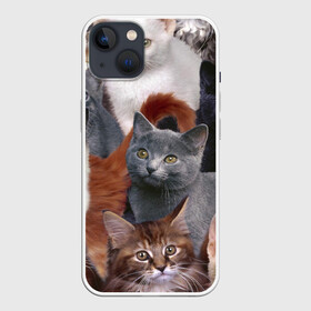Чехол для iPhone 13 с принтом КОТЯТКИ в Белгороде,  |  | cat | взгляд | кот | кот хипстер | котёнок | котятки | котятушки | кошечки | кошка | мордочка