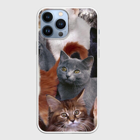 Чехол для iPhone 13 Pro Max с принтом КОТЯТКИ в Белгороде,  |  | Тематика изображения на принте: cat | взгляд | кот | кот хипстер | котёнок | котятки | котятушки | кошечки | кошка | мордочка