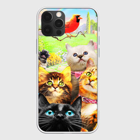 Чехол для iPhone 12 Pro Max с принтом КОТЫ в Белгороде, Силикон |  | cat | взгляд | кот | кот хипстер | котёнок | котятки | котятушки | кошечки | кошка | мордочка