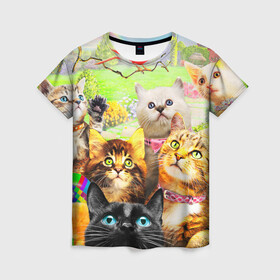 Женская футболка 3D с принтом КОТЫ в Белгороде, 100% полиэфир ( синтетическое хлопкоподобное полотно) | прямой крой, круглый вырез горловины, длина до линии бедер | cat | взгляд | кот | кот хипстер | котёнок | котятки | котятушки | кошечки | кошка | мордочка