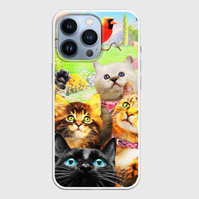 Чехол для iPhone 13 Pro с принтом КОТЫ в Белгороде,  |  | Тематика изображения на принте: cat | взгляд | кот | кот хипстер | котёнок | котятки | котятушки | кошечки | кошка | мордочка