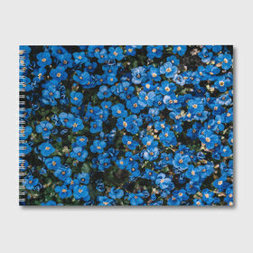 Альбом для рисования с принтом Поле синих цветов фиалки лето в Белгороде, 100% бумага
 | матовая бумага, плотность 200 мг. | голубые цветочки | лето | луг | незабудки | поле | поляна | синие цветы | узор из цветов | фиалки | фото реализм | цветы