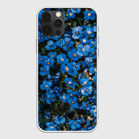 Чехол для iPhone 12 Pro Max с принтом Поле синих цветов фиалки лето в Белгороде, Силикон |  | Тематика изображения на принте: голубые цветочки | лето | луг | незабудки | поле | поляна | синие цветы | узор из цветов | фиалки | фото реализм | цветы