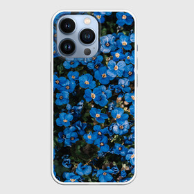 Чехол для iPhone 13 Pro с принтом Поле синих цветов фиалки лето в Белгороде,  |  | голубые цветочки | лето | луг | незабудки | поле | поляна | синие цветы | узор из цветов | фиалки | фото реализм | цветы