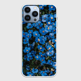 Чехол для iPhone 13 Pro Max с принтом Поле синих цветов фиалки лето в Белгороде,  |  | голубые цветочки | лето | луг | незабудки | поле | поляна | синие цветы | узор из цветов | фиалки | фото реализм | цветы