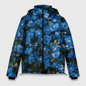Мужская зимняя куртка 3D с принтом Поле синих цветов фиалки лето в Белгороде, верх — 100% полиэстер; подкладка — 100% полиэстер; утеплитель — 100% полиэстер | длина ниже бедра, свободный силуэт Оверсайз. Есть воротник-стойка, отстегивающийся капюшон и ветрозащитная планка. 

Боковые карманы с листочкой на кнопках и внутренний карман на молнии. | голубые цветочки | лето | луг | незабудки | поле | поляна | синие цветы | узор из цветов | фиалки | фото реализм | цветы