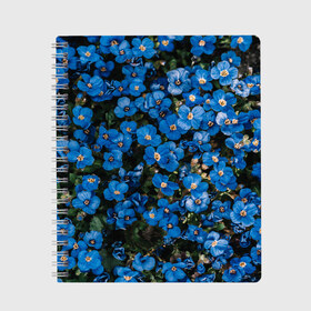 Тетрадь с принтом Поле синих цветов фиалки лето в Белгороде, 100% бумага | 48 листов, плотность листов — 60 г/м2, плотность картонной обложки — 250 г/м2. Листы скреплены сбоку удобной пружинной спиралью. Уголки страниц и обложки скругленные. Цвет линий — светло-серый
 | голубые цветочки | лето | луг | незабудки | поле | поляна | синие цветы | узор из цветов | фиалки | фото реализм | цветы