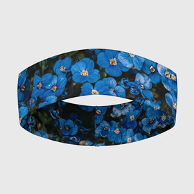 Повязка на голову 3D с принтом Поле синих цветов фиалки лето в Белгороде,  |  | голубые цветочки | лето | луг | незабудки | поле | поляна | синие цветы | узор из цветов | фиалки | фото реализм | цветы