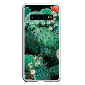 Чехол для Samsung Galaxy S10 с принтом кактусы с цветами реализм в Белгороде, Силикон | Область печати: задняя сторона чехла, без боковых панелей | бутоны | иголки | кактус | кактусы | комнатные растения | лето | реализм | суккуленты | тропики | узор | цветки | цветы | экзотика