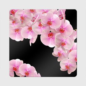 Магнит виниловый Квадрат с принтом Орхидеи в ночи в Белгороде, полимерный материал с магнитным слоем | размер 9*9 см, закругленные углы | азия | бабочки | бутоны | ветки | девушкам | джунгли | женщинам | лепестки | летний | лето | листья | любовь | март | орхидеи | орхидея | подарок | природа | растения | розовыецветы | сад | тропика