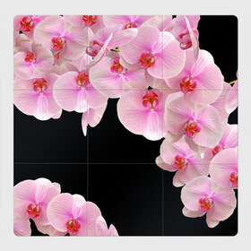 Магнитный плакат 3Х3 с принтом Орхидеи в ночи в Белгороде, Полимерный материал с магнитным слоем | 9 деталей размером 9*9 см | азия | бабочки | бутоны | ветки | девушкам | джунгли | женщинам | лепестки | летний | лето | листья | любовь | март | орхидеи | орхидея | подарок | природа | растения | розовыецветы | сад | тропика