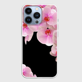Чехол для iPhone 13 Pro с принтом Орхидеи в ночи в Белгороде,  |  | азия | бабочки | бутоны | ветки | девушкам | джунгли | женщинам | лепестки | летний | лето | листья | любовь | март | орхидеи | орхидея | подарок | природа | растения | розовыецветы | сад | тропика