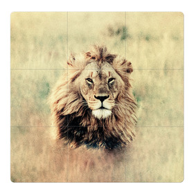 Магнитный плакат 3Х3 с принтом Lion King в Белгороде, Полимерный материал с магнитным слоем | 9 деталей размером 9*9 см | animals | king | lion | африка | взгляд | голова | грива | дикие | животные | зверек | зверь | зодиак | клыки | король | кот | кошак | кошка | лапы | лев | лео | львенок | оскал | природа | саванна | симба | созвездие
