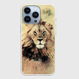 Чехол для iPhone 13 Pro с принтом Lion King в Белгороде,  |  | animals | king | lion | африка | взгляд | голова | грива | дикие | животные | зверек | зверь | зодиак | клыки | король | кот | кошак | кошка | лапы | лев | лео | львенок | оскал | природа | саванна | симба | созвездие