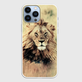 Чехол для iPhone 13 Pro Max с принтом Lion King в Белгороде,  |  | animals | king | lion | африка | взгляд | голова | грива | дикие | животные | зверек | зверь | зодиак | клыки | король | кот | кошак | кошка | лапы | лев | лео | львенок | оскал | природа | саванна | симба | созвездие