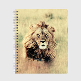 Тетрадь с принтом Lion King в Белгороде, 100% бумага | 48 листов, плотность листов — 60 г/м2, плотность картонной обложки — 250 г/м2. Листы скреплены сбоку удобной пружинной спиралью. Уголки страниц и обложки скругленные. Цвет линий — светло-серый
 | Тематика изображения на принте: animals | king | lion | африка | взгляд | голова | грива | дикие | животные | зверек | зверь | зодиак | клыки | король | кот | кошак | кошка | лапы | лев | лео | львенок | оскал | природа | саванна | симба | созвездие